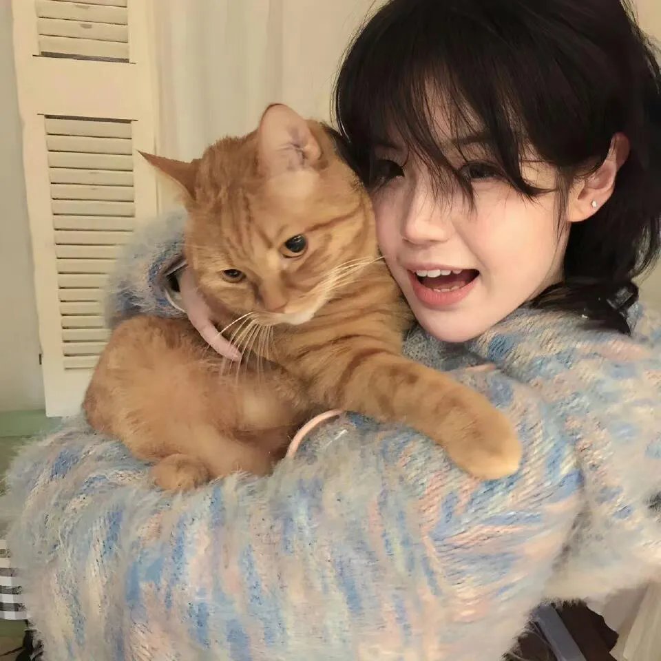 让我再爱你一次